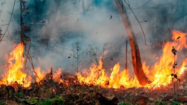 incendios