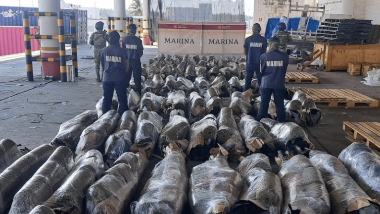 Más de Media Tonelada de Marihuana Oculta en Piedra de Cantera con Destino a República Dominicana fue Incautada en Veracruz - Imagen