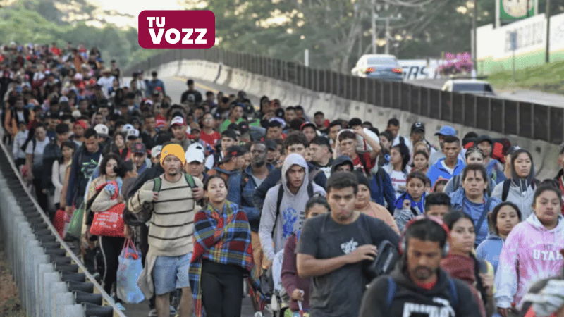 IMIGRANTEEEEEEEEEE