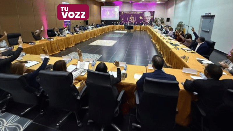 El PLD advierte sobre riesgos de infiltración del crimen organizado en candidaturas independientes - Imagen