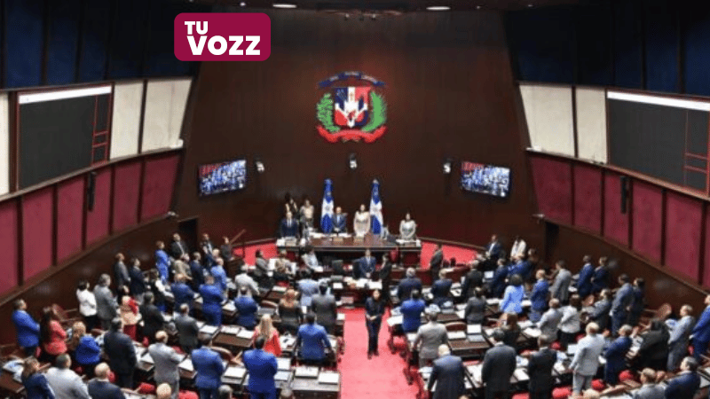 El Gobierno insta a aprobar nueva Ley de Contrataciones, pero desacuerdos en la Cámara de Diputados retrasan su avance - Imagen