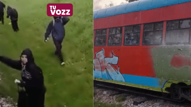 Ataque al Tren de la Sabana en Bogotá: Incidente genera tensión entre pasajeros - Imagen