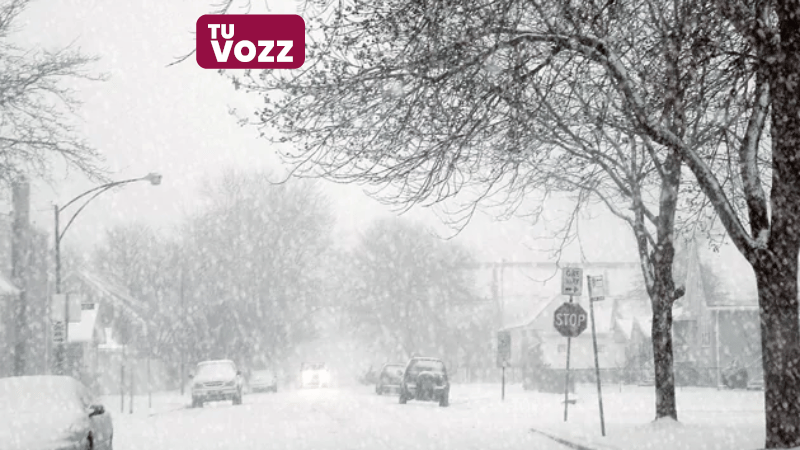 Montreal colapsa bajo una histórica tormenta de nieve - Imagen