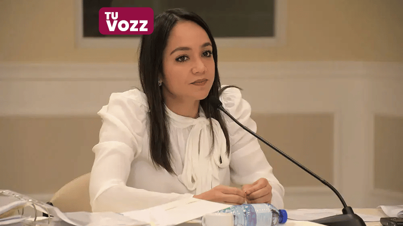 Faride Raful representará a República Dominicana en la firma de iniciativa contra el tráfico ilícito de armas ante la OEA - Imagen