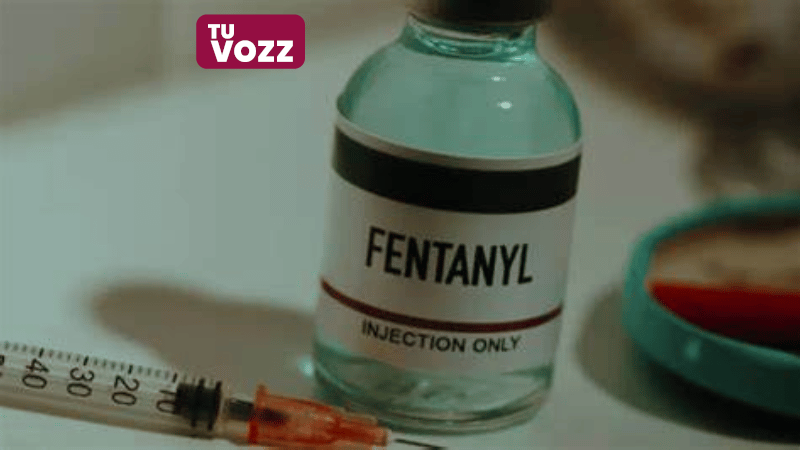 La ONU alerta sobre el peligro de las nuevas variantes del fentanilo en Estados Unidos - Imagen