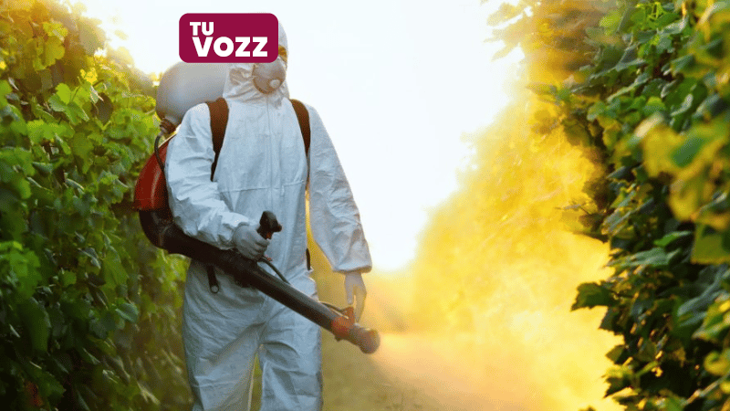 Dos hombres detenidos por fumigación en cercanías de un centro educativo en Cenoví - Imagen
