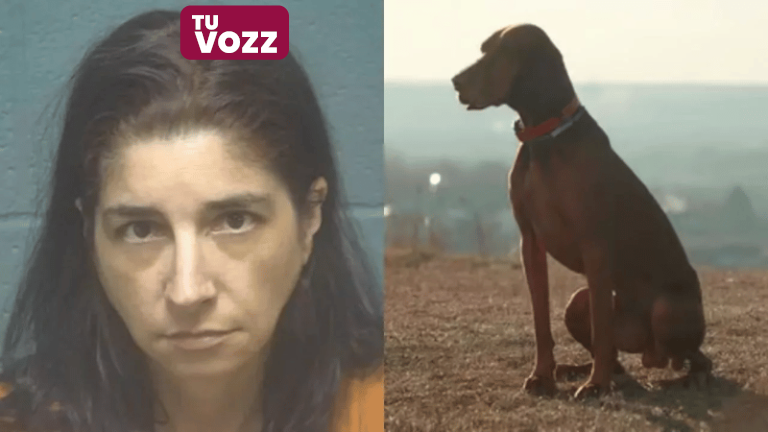 Mujer de Oklahoma arrestada por abuso sexual de un animal y distribución de material obsceno - Imagen