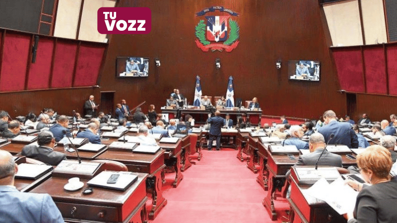 Cámara de Diputados estudia proyecto para garantizar paridad de género en candidaturas políticas - Imagen