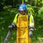 Prevención de áreas verdes ante temporada ciclónica protege infraestructuras - Imagen